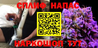 шишки Кандалакша