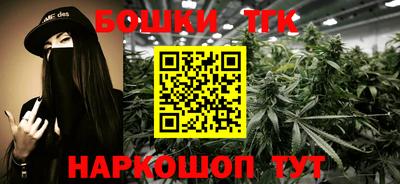 шишки Кандалакша