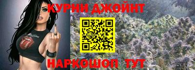 шишки Кандалакша