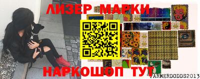 шишки Кандалакша