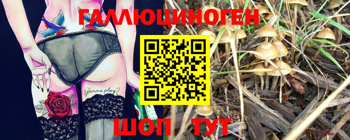 Лесозаводск  Псилоцибиновые грибы ЛСД  Вход с VPN 